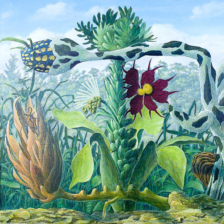 Serpentinoidea  1982  acrylic on canvas  890 x 720 mm