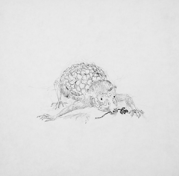 Drawing  1970  graphite on paper  208 x 202 mm