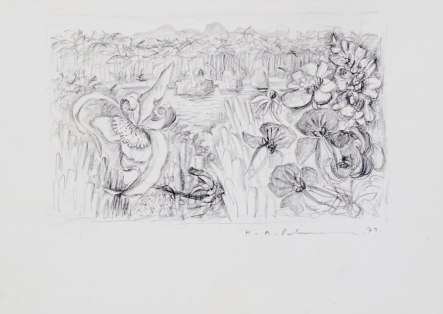 Palm Forest northwest Oriro  1979  graphite on paper  207 x 148 mm