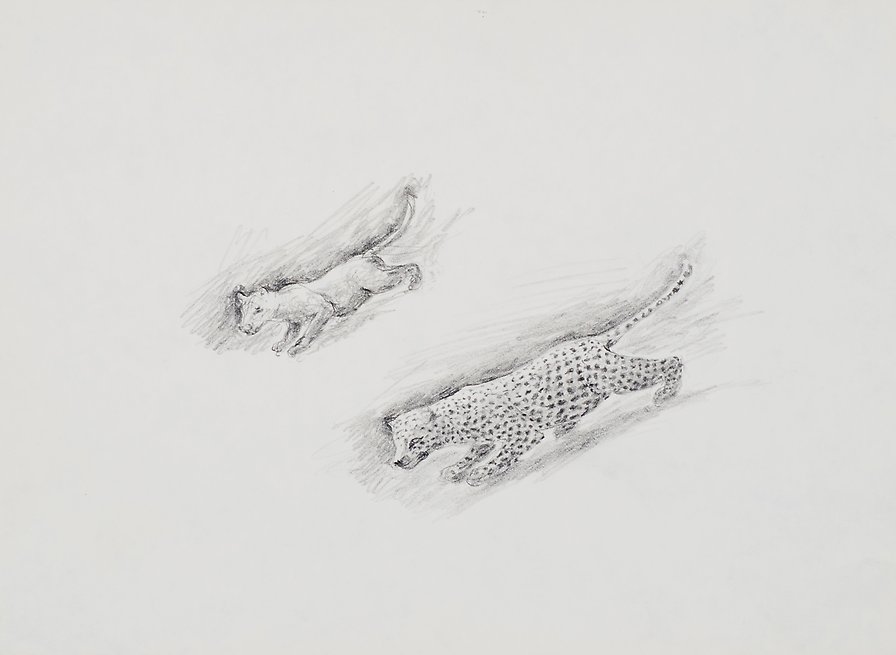 Drawing  1973  graphite on paper  204 x 148 mm