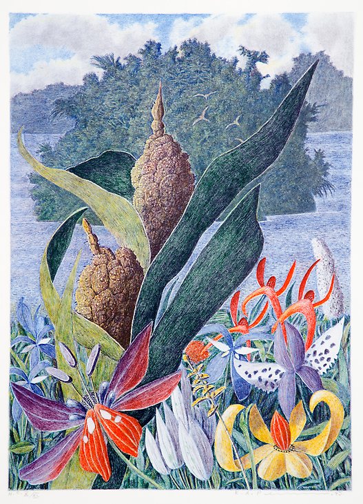 Landscape with Senoi Nuts  1993  lithography  395 x 545 mm