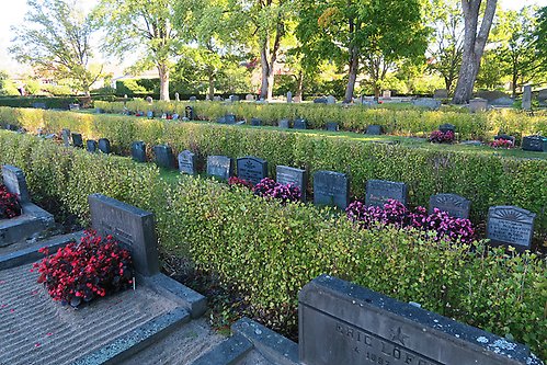 Flera gravar på en linje med grönska och blommor emellan.