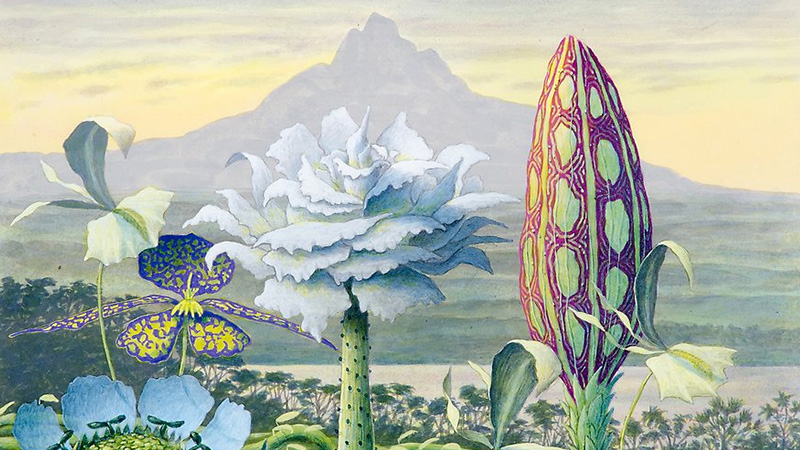 Konstverk av Karl Axel Pehrson