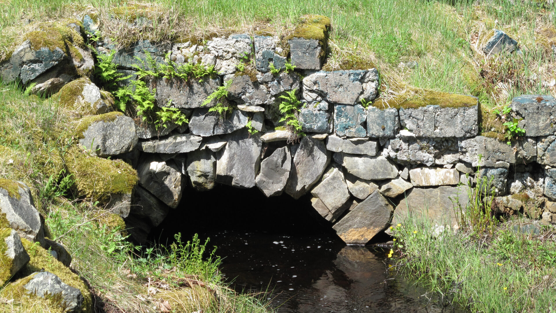 Ruin av masugnen vid Grecksåsars hyttruin