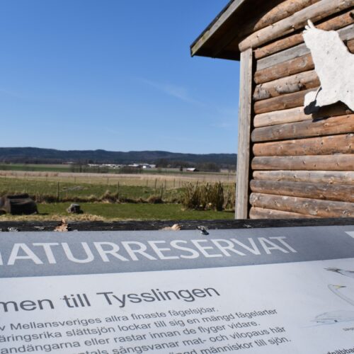 Slöjd vid Tysslingens naturcenter